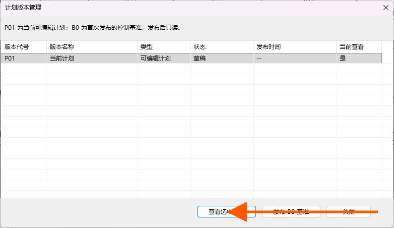 查看选中的计划版本